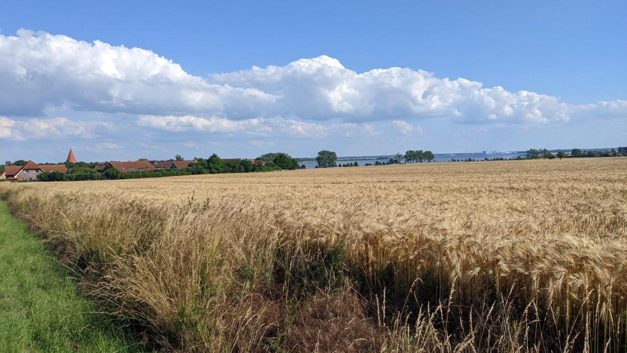 Ferienwohnung Ferien auf der Insel Poel Kirchdorf  Exterior foto