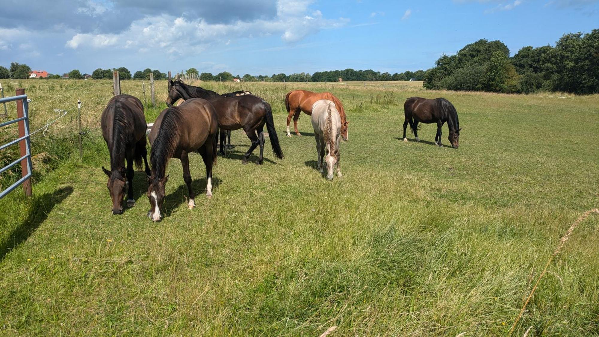 Ferienwohnung Ferien auf der Insel Poel Kirchdorf  Exterior foto